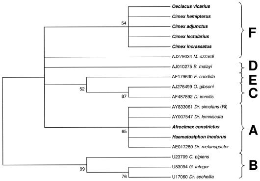 FIG. 4.