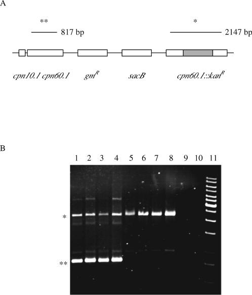 Fig 2.