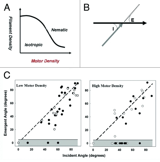 Figure 1.