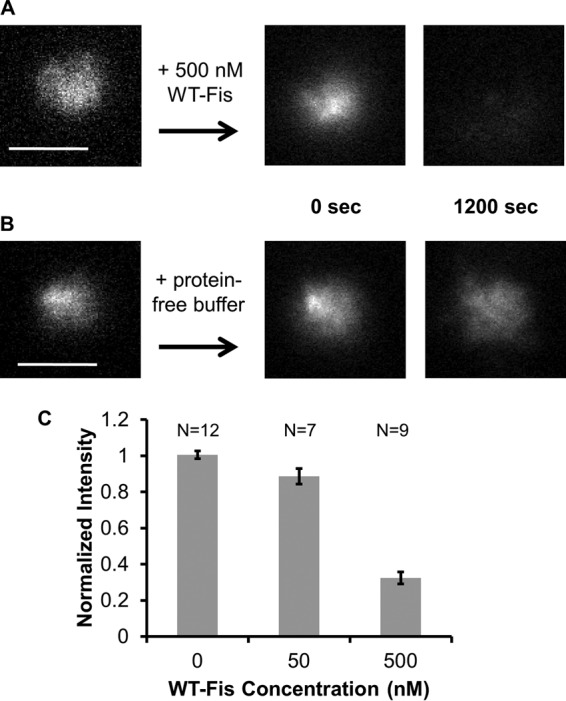 FIG 2