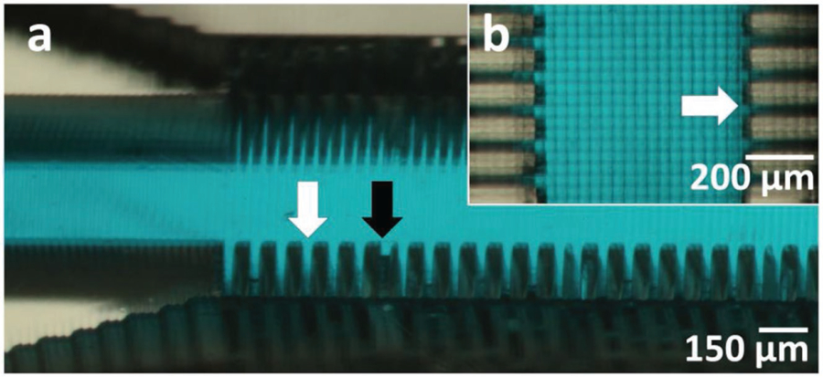 Figure 5.