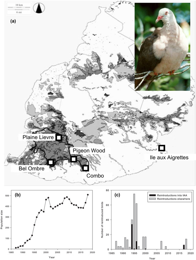 FIGURE 1