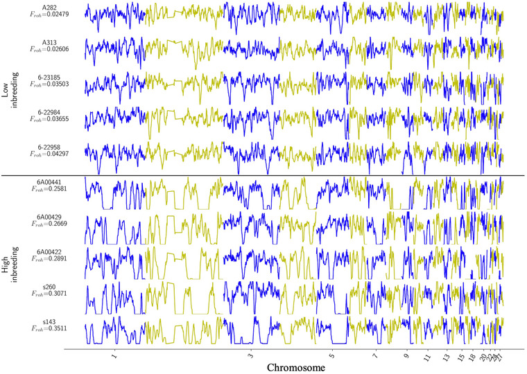 FIGURE 3