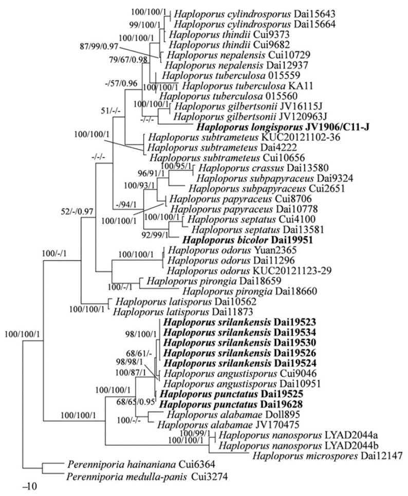 Figure 2