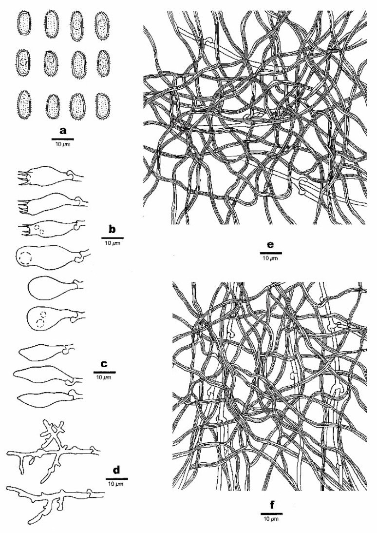 Figure 10