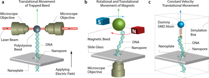 Fig. 4