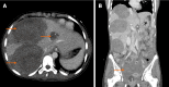 Figure 24