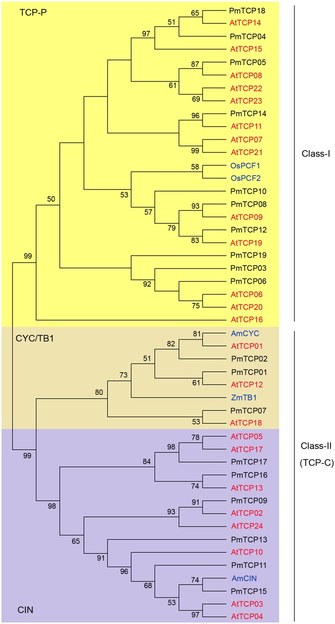 FIGURE 2