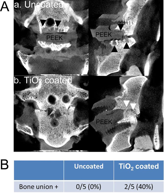 Fig 5