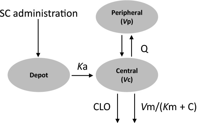 Fig. 1