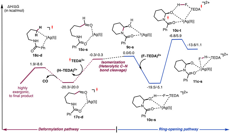 Figure 12.