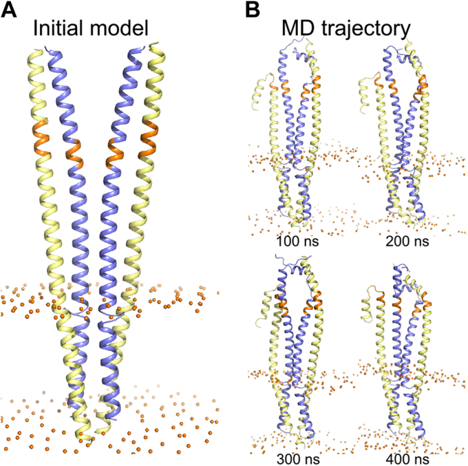 Figure 6