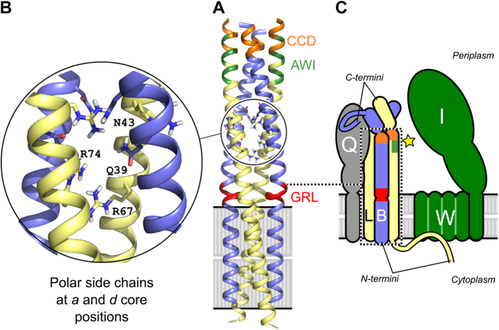 Figure 2