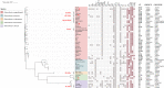 FIG 3