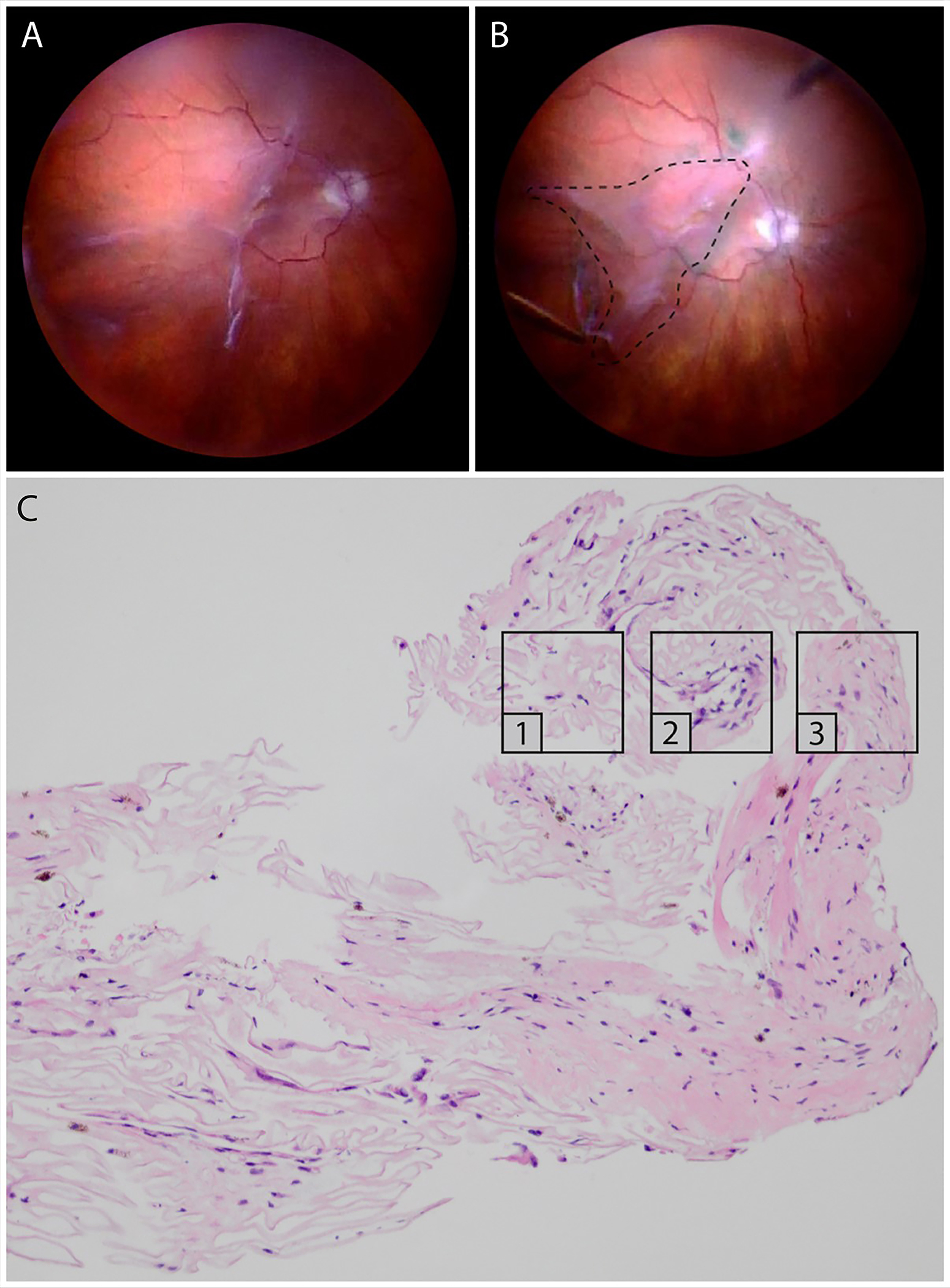 Figure 5: