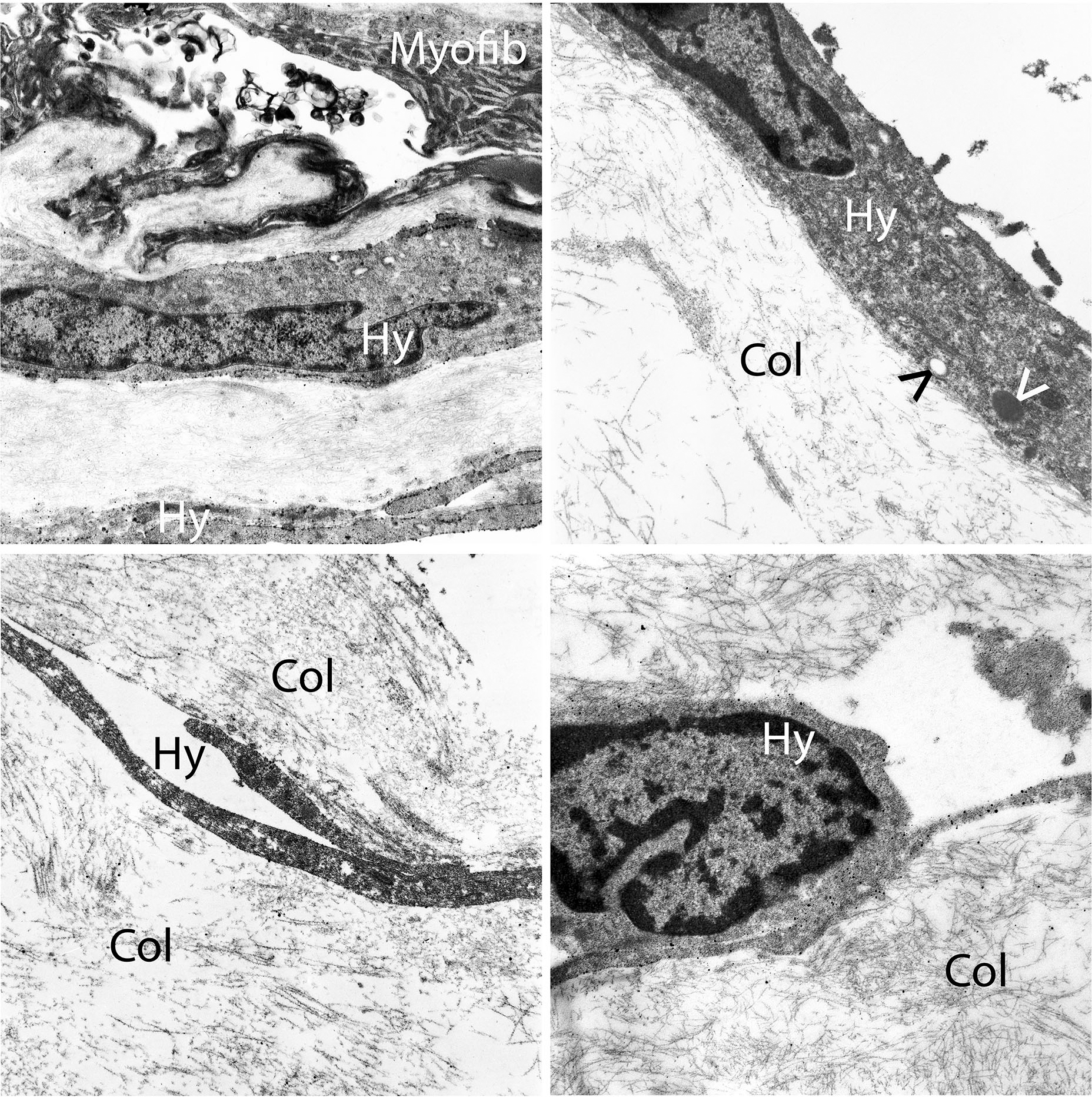 Figure 3: