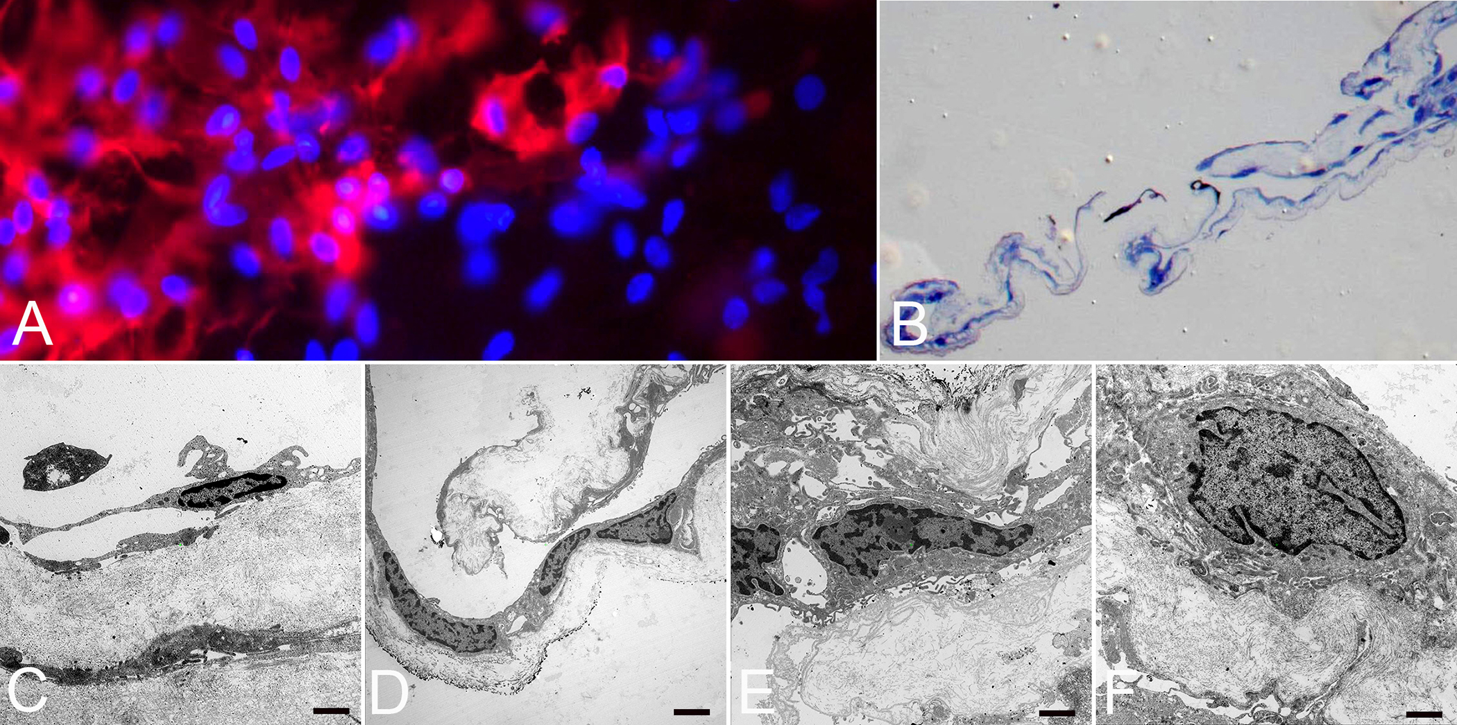 Figure 6: