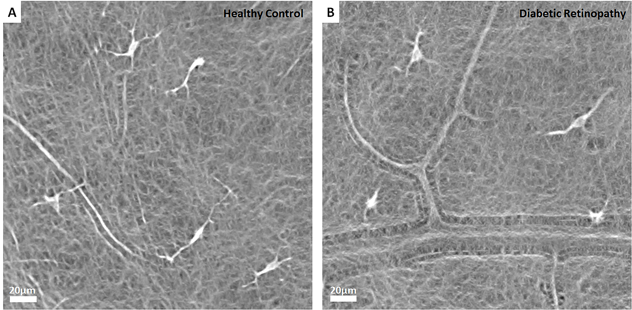 Figure 9: