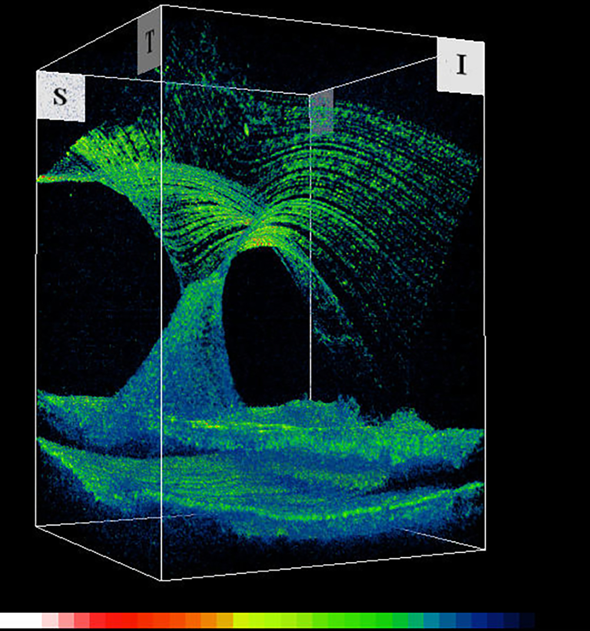 Figure 10: