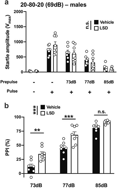 Fig. 13