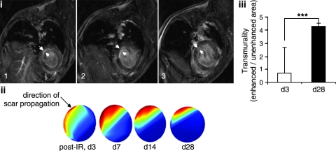 FIG. 6.