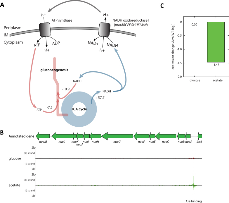 Figure 6.