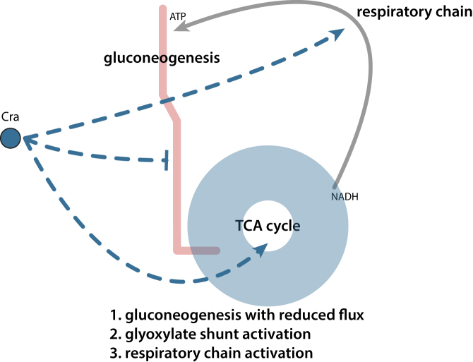 Figure 7.