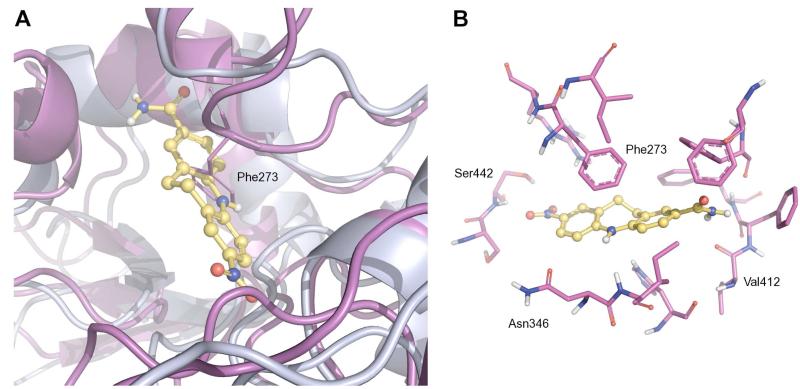 Fig. 7