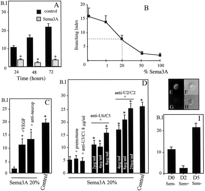 Fig. 10.