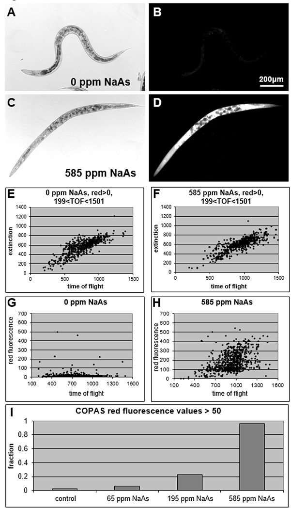 Figure 4: