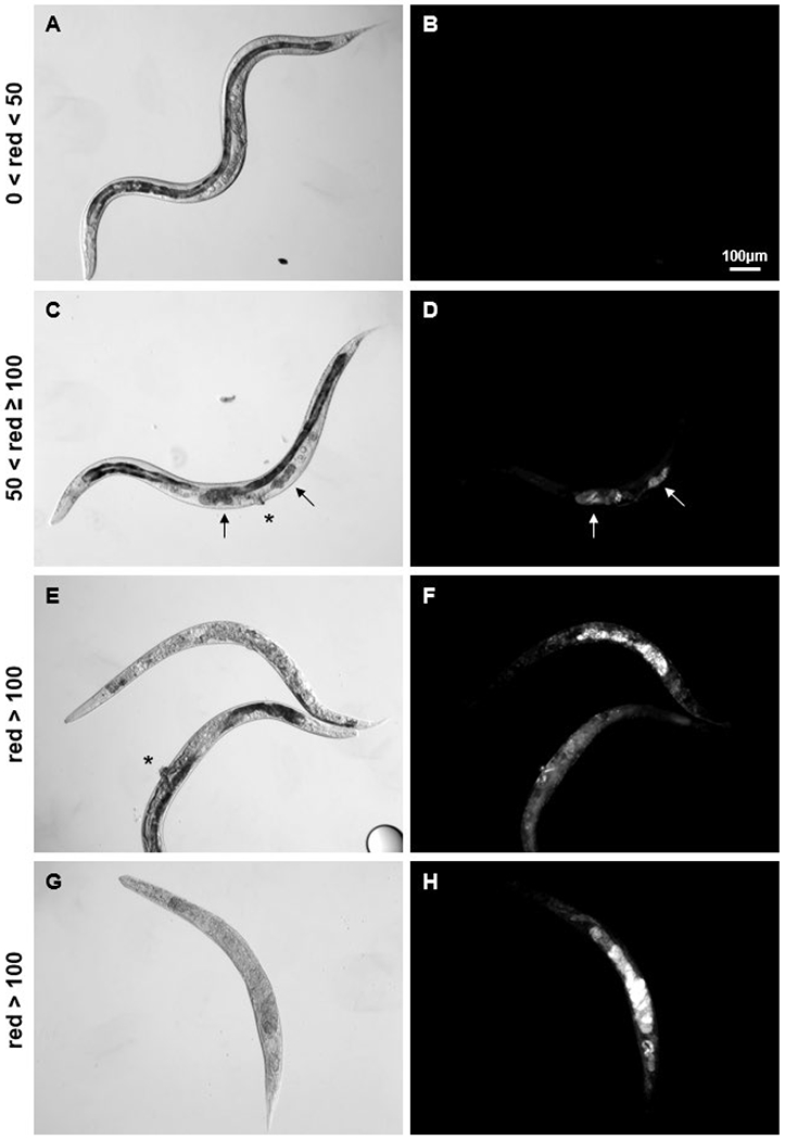 Figure 2: