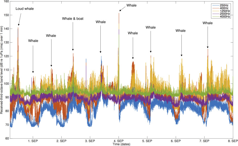 Figure 3—figure supplement 2.