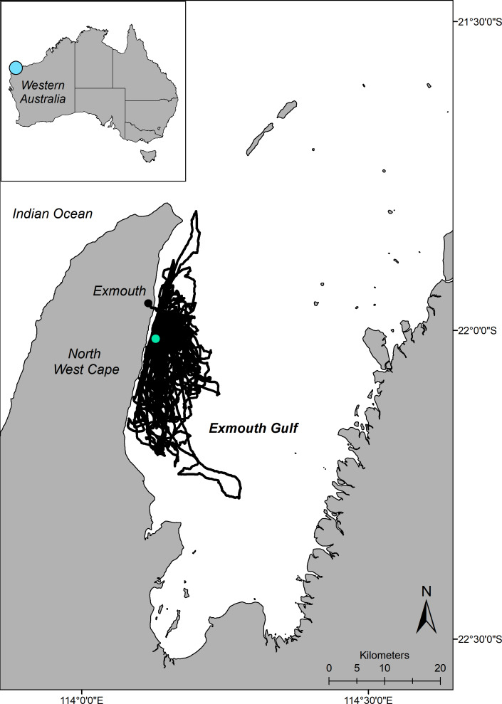 Figure 1—figure supplement 1.