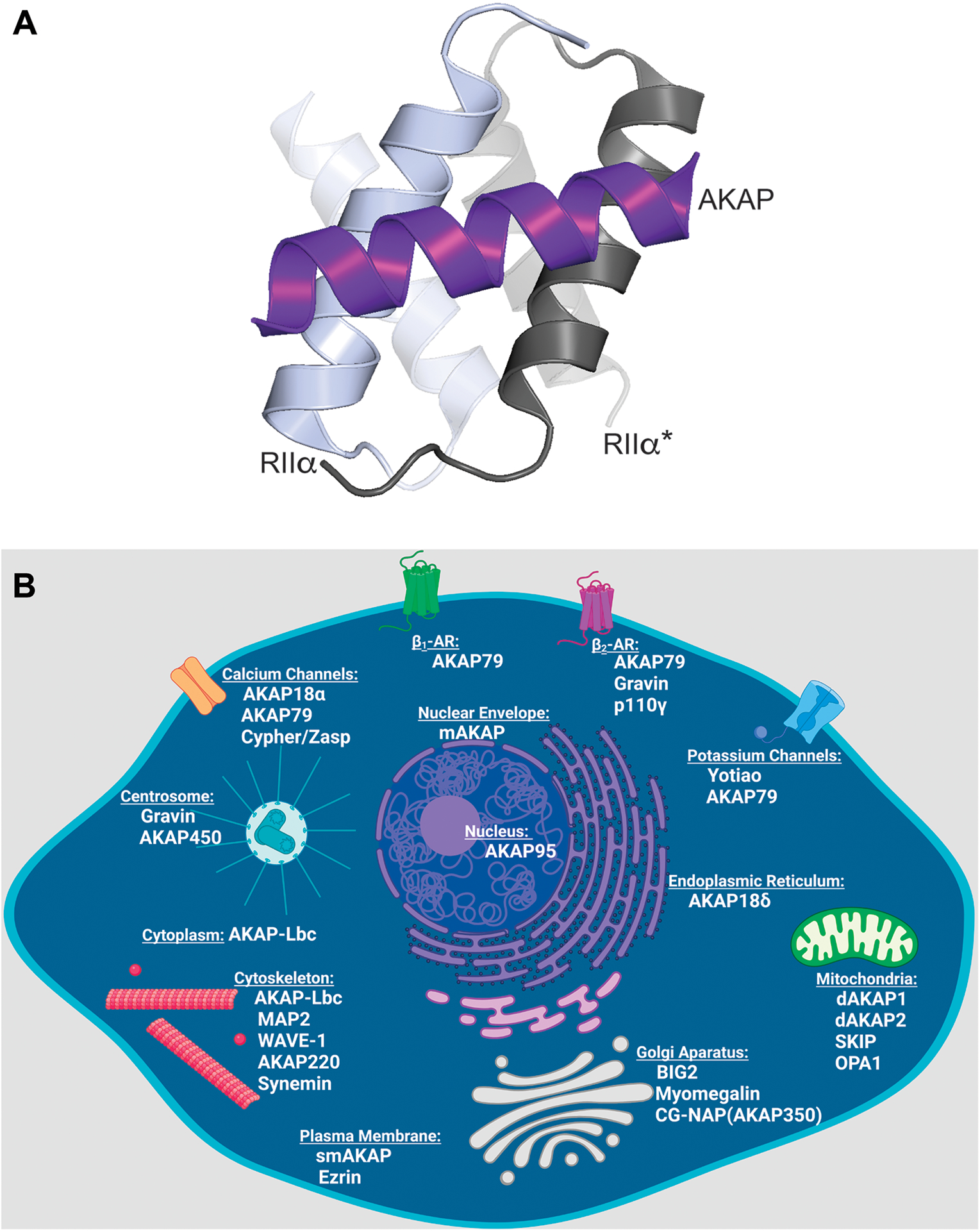 Figure 2: