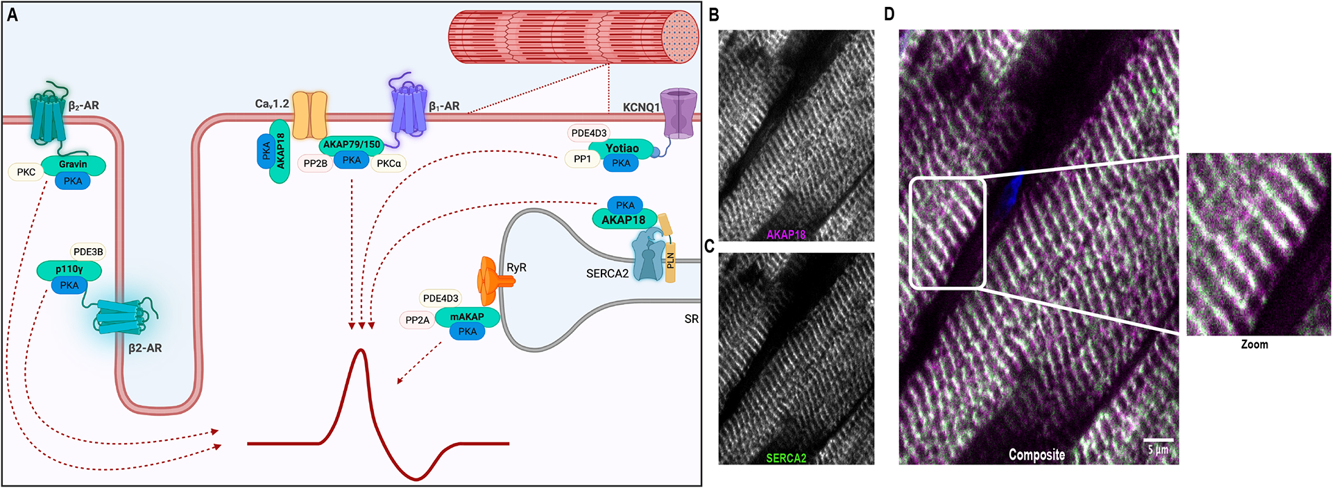 Figure 3: