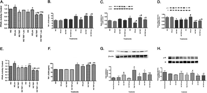 FIGURE 11.