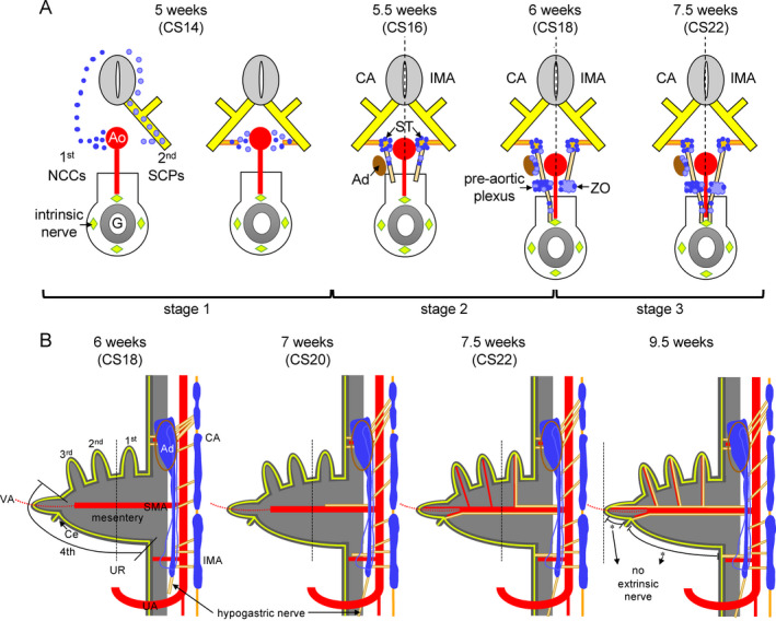 Figure 11