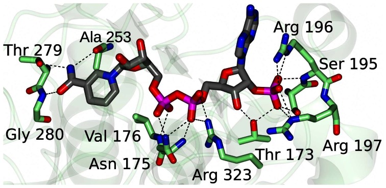 Figure 7