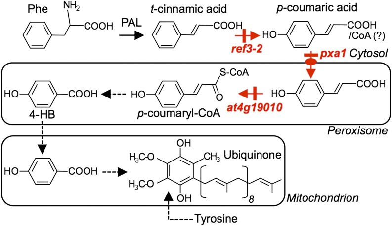 Figure 7.