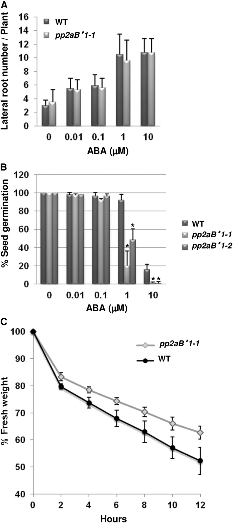 Figure 6.