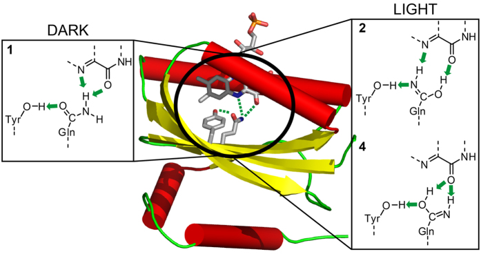 Figure 8