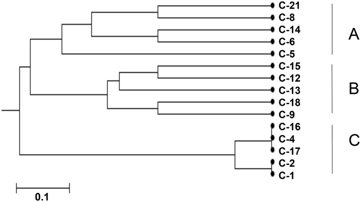 Fig 2