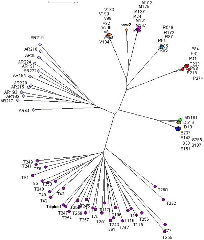 FIGURE 4