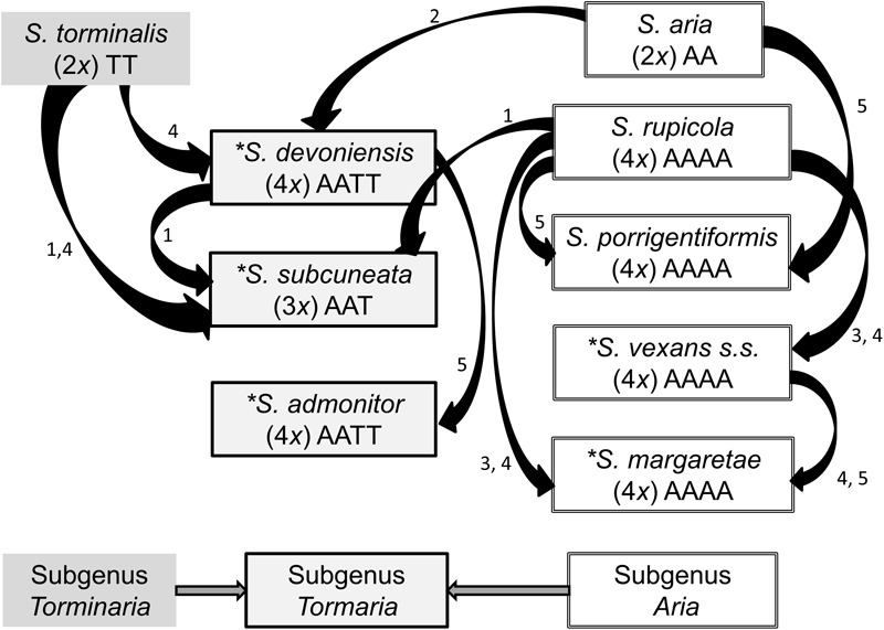 FIGURE 1