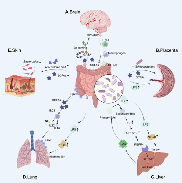 FIGURE 3