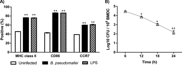 FIG 1