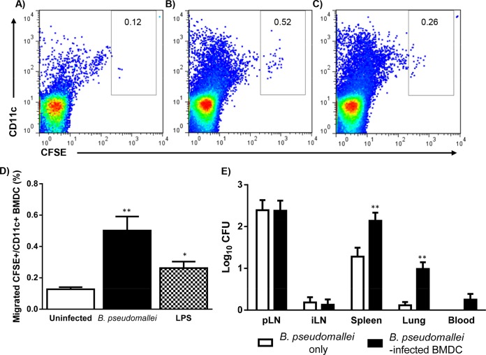 FIG 3