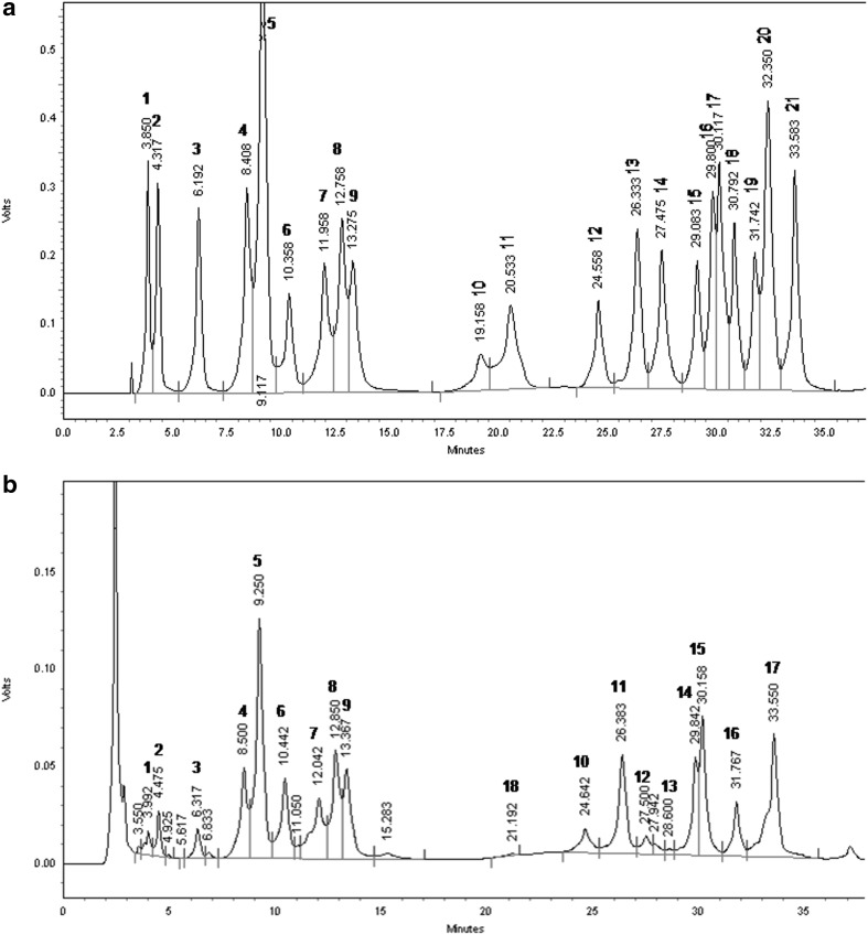 Fig. 1