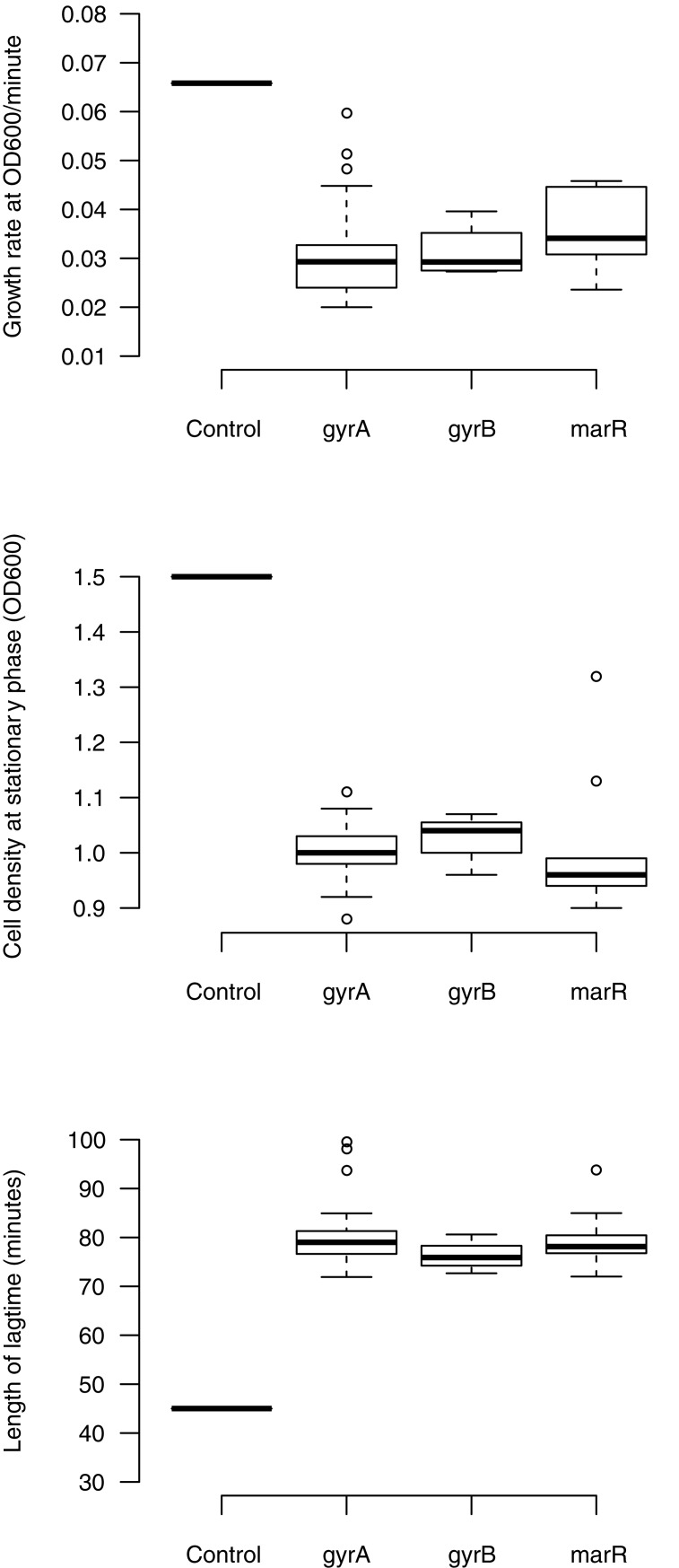 Fig 5