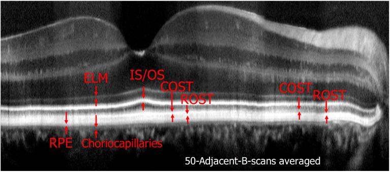 Fig. 9.